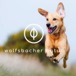 Das Wolfsbacher Natur Logo hinterlegt von einem Bild was einen fröhlichen und lebenslustigen Hund zeigt, der über Felder springt.